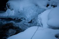 2012:02:02 14:27:13
0.7 megapixels
S: 1/320 sec
A: F/5.6
ISO: 1000
